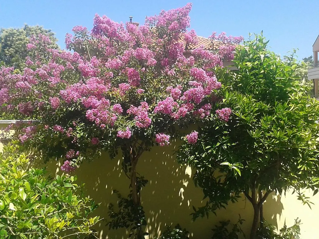 Apartment Zoky Split